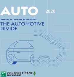 AUTO THE AUTOMOTIVE DIVIDE 2020 - Consors Finanz