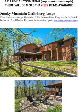 2019 LIVE AUCTION ITEMS (representative sample) - THERE WILL BE MORE THAN 125 ITEMS AVAILABLE