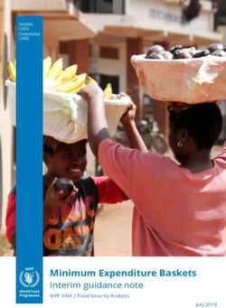 Minimum Expenditure Baskets - Interim guidance note WFP VAM | Food Security Analysis