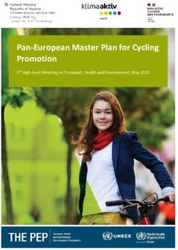 Pan-European Master Plan for Cycling Promotion - 5th High-level Meeting on Transport, Health and Environment, May 2021 - THE PEP