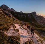 STUBAI CABLEWAYS SUMMER 2019 - Alpenhotel Tirolerhof