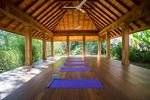 Sri Lanka YOGA RETREAT - Gayani Yoga