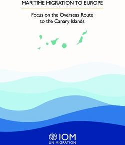 MARITIME MIGRATION TO EUROPE - Focus on the Overseas Route to the Canary Islands