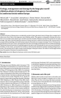 Ecology, management and damage by the large pine weevil (Hylobius abietis) (Coleoptera: Curculionidae) in coniferous forests within Europe