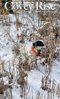 Covey Rise - Tulsa Bird Dog Association
