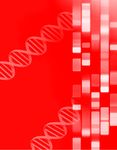 Understanding Genetics - and the Sire Summaries