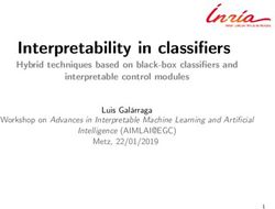 Interpretability in classifiers - Hybrid techniques based on black-box classifiers and interpretable control modules - Luis Galárraga