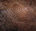 GUIDE CARE & MAINTENANCE - Carpet Court