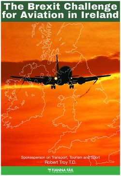 The Brexit Challenge for Aviation in Ireland - Robert Troy T.D. Spokesperson on Transport, Tourism and Sport - Fianna Fail