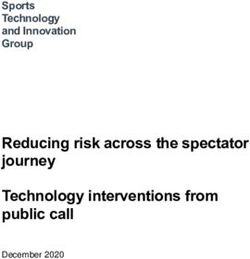 Reducing risk across the spectator journey Technology interventions from public call - Sports Technology and Innovation Group - Sports Grounds ...