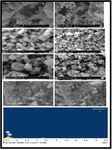 Magnetic and Dielectric Studies of Iron Nanoparticles