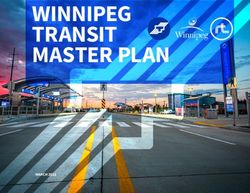 WINNIPEG TRANSIT MASTER PLAN - MARCH 2021
