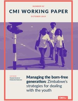CMI WORKING PAPER - Managing the born-free generation: Zimbabwe's strategies for dealing with the youth - Chr ...