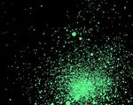 NETSCOUT THREAT INTELLIGENCE REPORT: POWERED BY ATLAS - Cybercrime's Innovation Machine