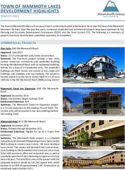 TOWN OF MAMMOTH LAKES DEVELOPMENT HIGHLIGHTS