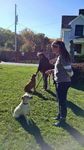 Professional Dog Trainer Program: Course Catalog
