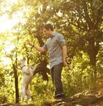 Professional Dog Trainer Program: Course Catalog