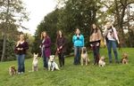 Professional Dog Trainer Program: Course Catalog