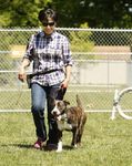 Professional Dog Trainer Program: Course Catalog