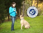 Professional Dog Trainer Program: Course Catalog