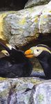 VISITOR GUIDE & MAP - Aquarium of the Pacific