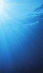 VISITOR GUIDE & MAP - Aquarium of the Pacific
