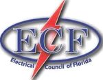 Choices, Challenges & Opportunities - Electrical Council ...