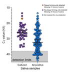 STABILITY OF SARS-COV-2 RNA IN NONSUPPLEMENTED SALIVA