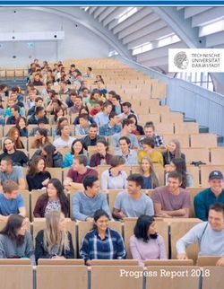 Progress Report 2018 - TU Darmstadt