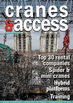 Top 30 rental companies Spider & mini cranes Hybrid platforms - Vertikal.net