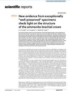 New evidence from exceptionally "well preserved" specimens sheds light on the structure of the ammonite brachial crown - Nature