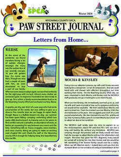 Letters from Home - Wyoming County SPCA