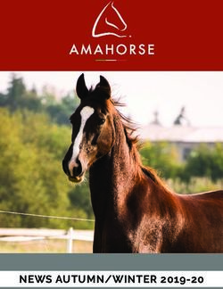 NEWS AUTUMN/WINTER 2019-20 - amahorse.ch