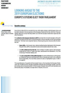 LOOKING AHEAD TO THE 2019 EUROPEAN ELECTIONS - JACQUES DELORS INSTITUT