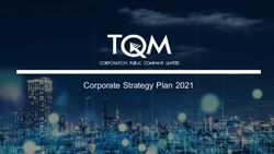 Corporate Strategy Plan 2021