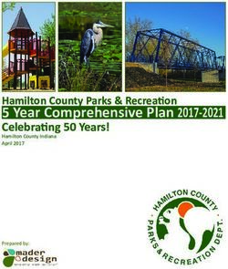 5 Year Comprehensive Plan 2017-2021 - Celebrating 50 Years! Hamilton County Indiana April 2017 - Hamilton County, IN