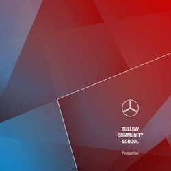 TULLOW COMMUNITY SCHOOL - PROSPECTUS