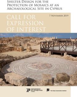 CALL FOR EXPRESSIOn OF INTEREST - Shelter Design for the Protection of Mosaics at an Archaeological Site in Cyprus