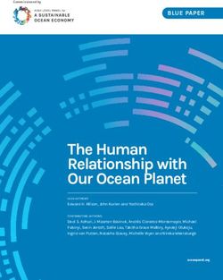 The Human Relationship with Our Ocean Planet - High Level ...