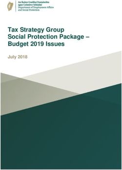 Tax Strategy Group Social Protection Package - Budget 2019 Issues - July 2018