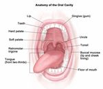 The Importance of Oral and Dental Health in College Students - ACHA 2016 - San Francisco, CA