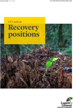 Recovery positions CIO outlook: New image in progress