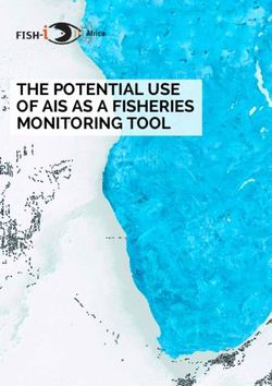 THE POTENTIAL USE OF AIS AS A FISHERIES MONITORING TOOL - FISH-i Africa