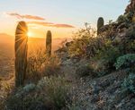 Arizona Health Improvement Plan - Summary Document 2021-2025 - Published June 2021