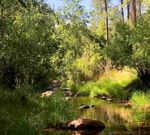Arizona Health Improvement Plan - Summary Document 2021-2025 - Published June 2021