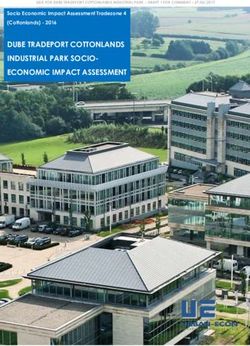 DUBE TRADEPORT COTTONLANDS INDUSTRIAL PARK SOCIO-ECONOMIC IMPACT ASSESSMENT - SAHRIS