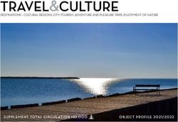TRAVEL&CULTURE - SUPPLEMENT TOTAL CIRCULATION 132.000 OBJECT PROFILE 2021/2022 - Crescendo