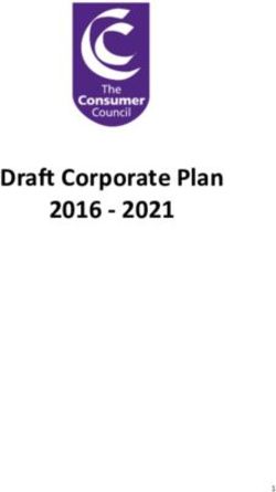 Draft Corporate Plan 2016 2021 - Consumer Council
