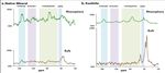 BSSD 2021 Performance Metric Q4