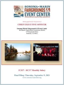 CHIEF EXECUTIVE OFFICER - 2021 CEO Recruitment